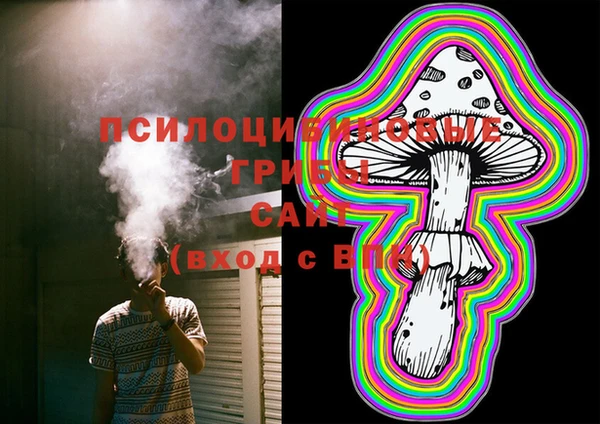 соль курить ск Медвежьегорск