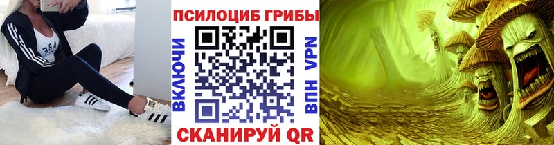 Галлюциногенные грибы MAGIC MUSHROOMS  Купить где  Татарск 